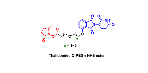 Thalidomide-O-PEGn-NHS ester